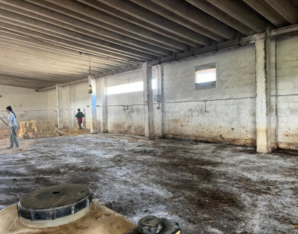 A importância da limpeza